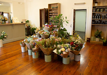 dear petal hunter valley