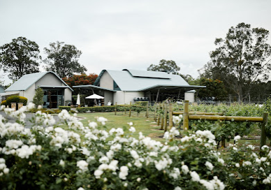 enzo weddings hunter valley